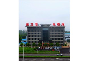 熱烈歡迎襄陽市副市長龍小紅蒞臨企業指導工作